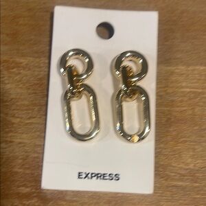 Express Shiny Gold Chain Earrings
